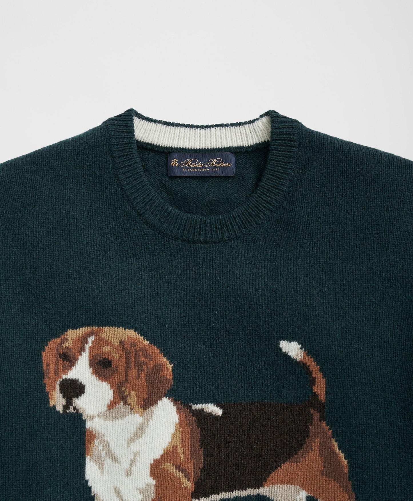 Beagle Intarsia Sweater in Merino Wool Blend